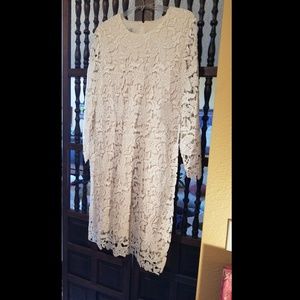 NEW PHOTOS Cotton Lace Sheath Dress NWT